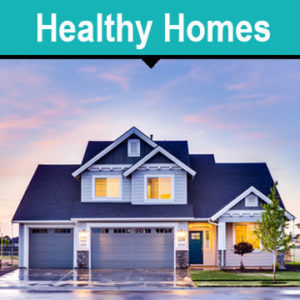 Healthy Homes NZ 2021
